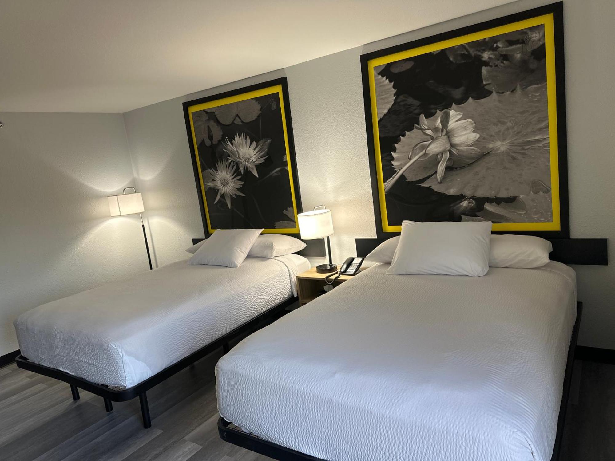Hotel Super 8 By Wyndham Alexandria La Extérieur photo