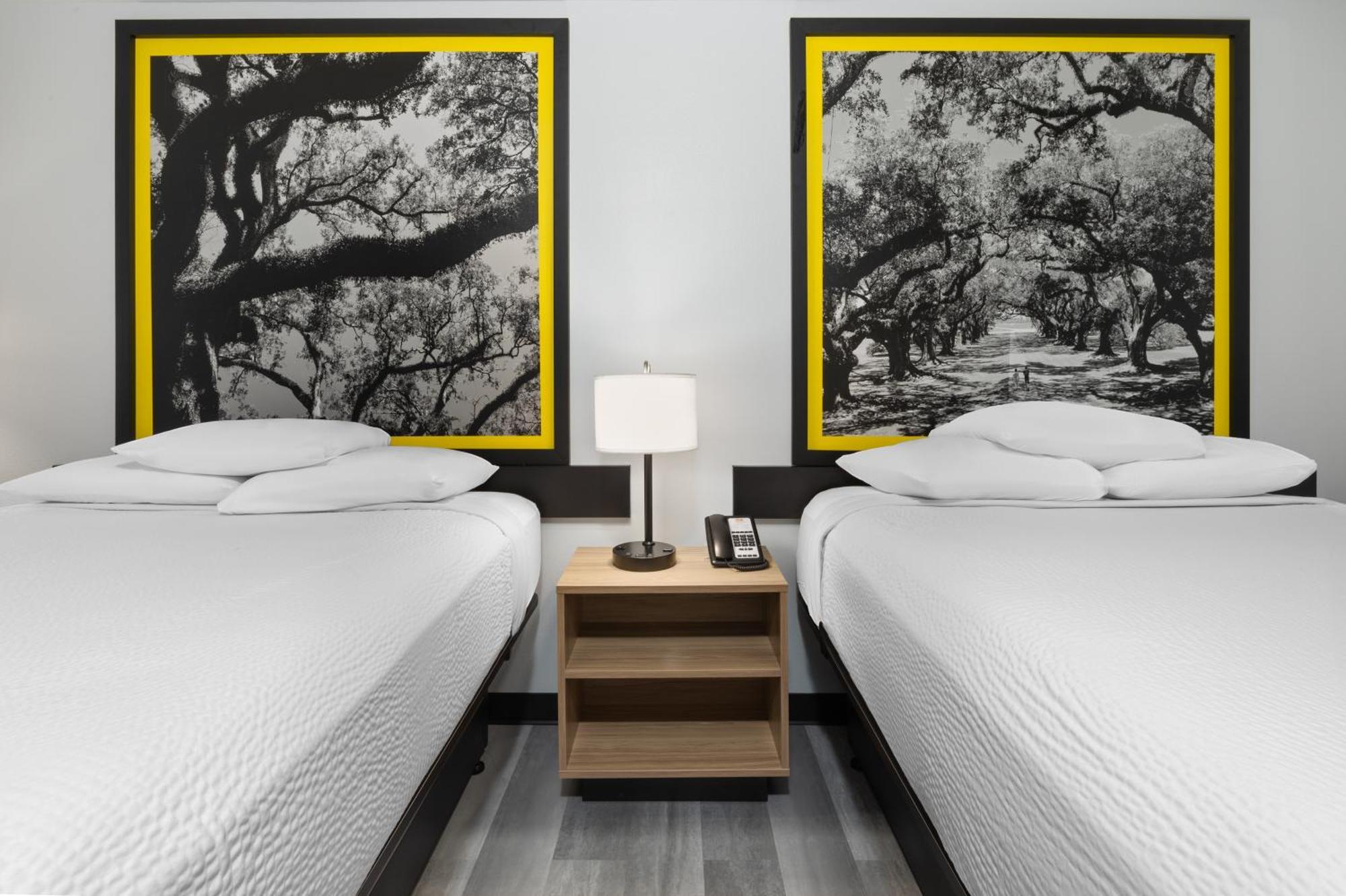 Hotel Super 8 By Wyndham Alexandria La Extérieur photo